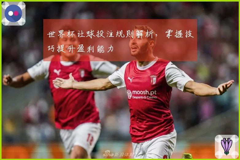 世界杯让球投注规则解析，掌握技巧提升盈利能力