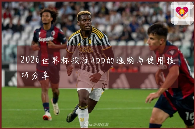 2026世界杯投注App的选购与使用技巧分享