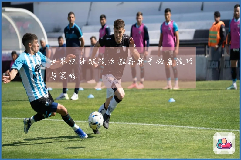 世界杯让球投注推荐新手必看技巧与策略