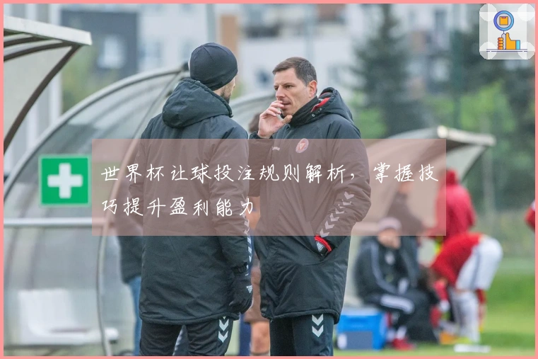 世界杯让球投注规则解析，掌握技巧提升盈利能力